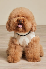 CozyChic® Cotton Classic Stripe Pet Sweater