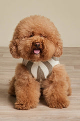 CozyChic® Cotton Classic Stripe Pet Sweater