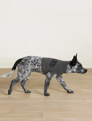 CozyChic Lite® Malibu Pet Sweater