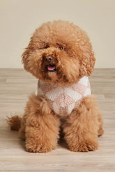 CozyChic® Tile Check Pet Sweater
